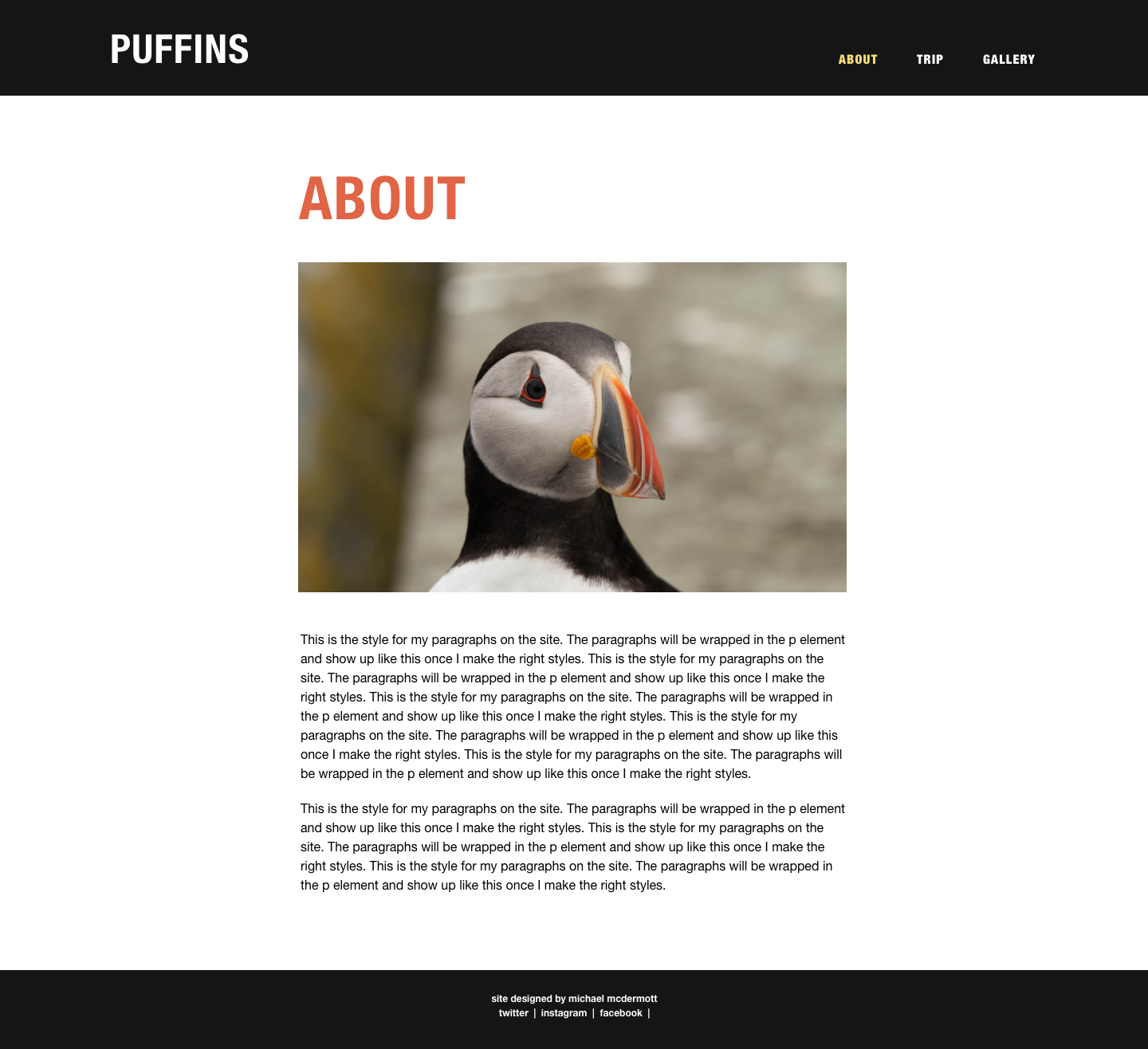 puffin website about mockup
