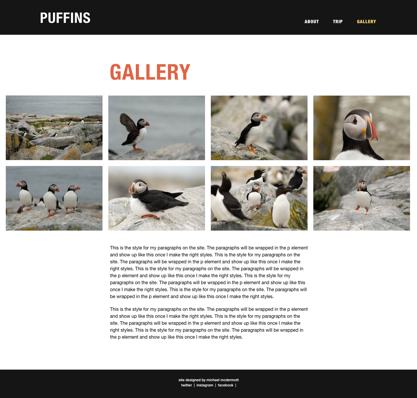 puffin website gallery mockup